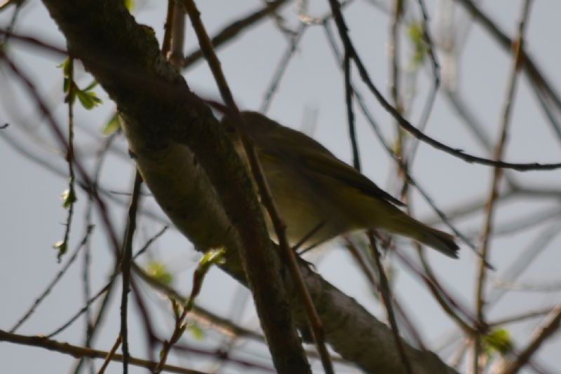 sono tutti lu� piccoli?